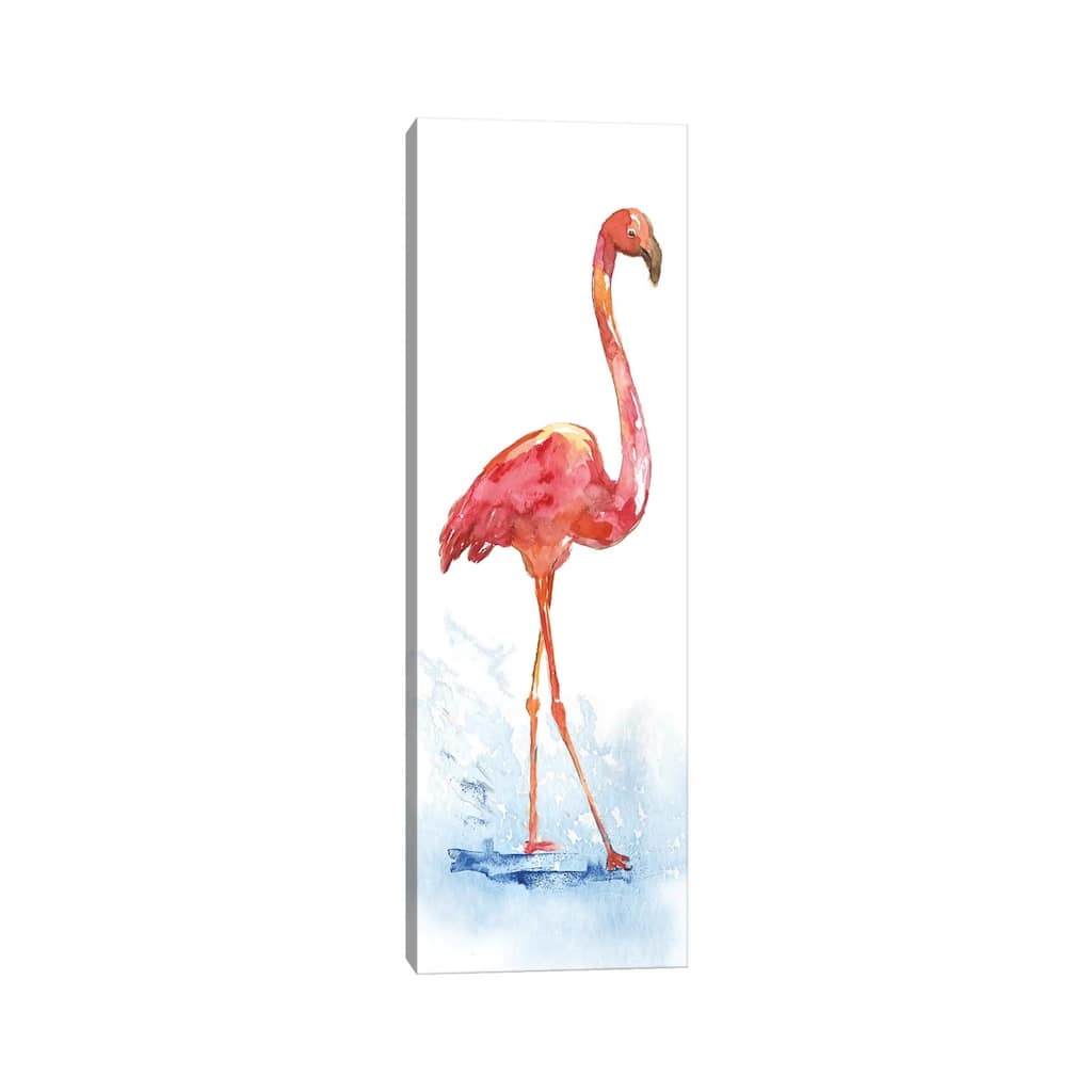 iCanvas "Flamingo Splash I" by Nan Canvas Print