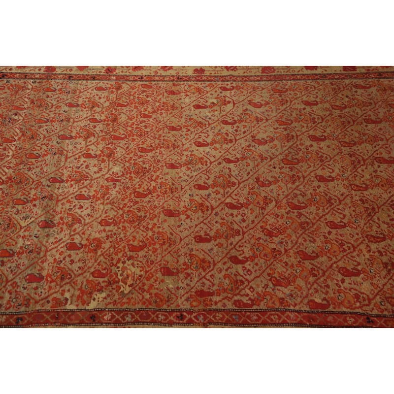Hand Knotted Oriental 100% Wool Carpet Traditional All-Over Brown Sarouk Area Rug - 6' 3'' X 4' 3''