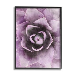 Stupell Modern Purple Succulent Leaves Framed Giclee Art by Daphne ...
