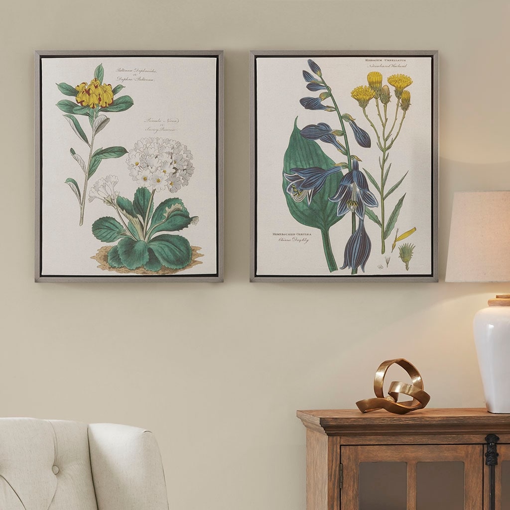 Martha Stewart Florescent Botanical Illustration 2-piece Framed
