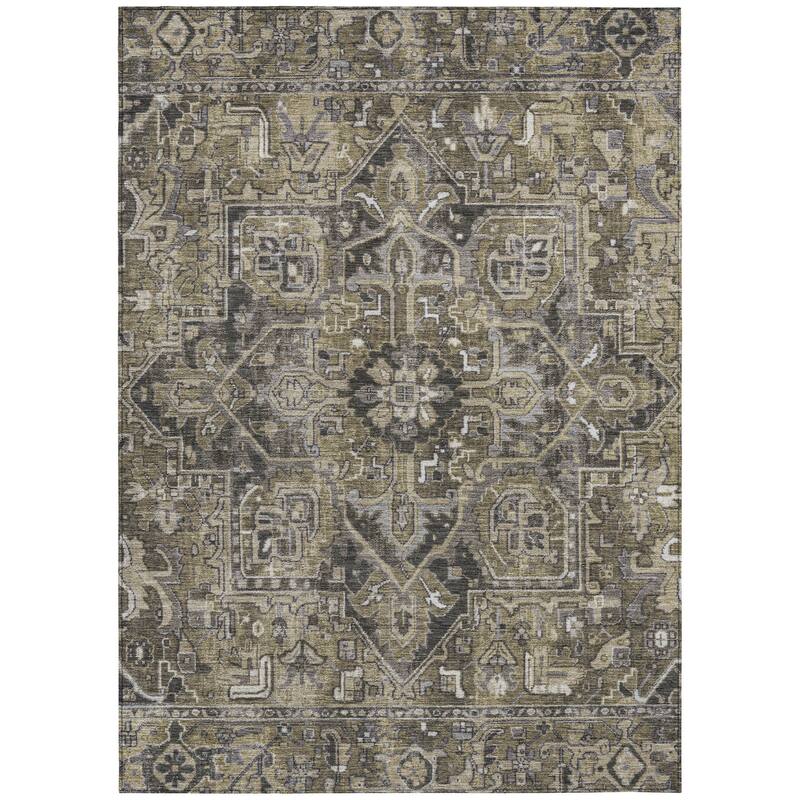 Machine Washable Indoor/ Outdoor Traditional Boho Chantille Rug