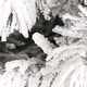 preview thumbnail 87 of 158, Glitzhome 6FT/7.5FT/9FT/11FT Snow Flocked Pre-lit Artificial Fir Christmas Trees