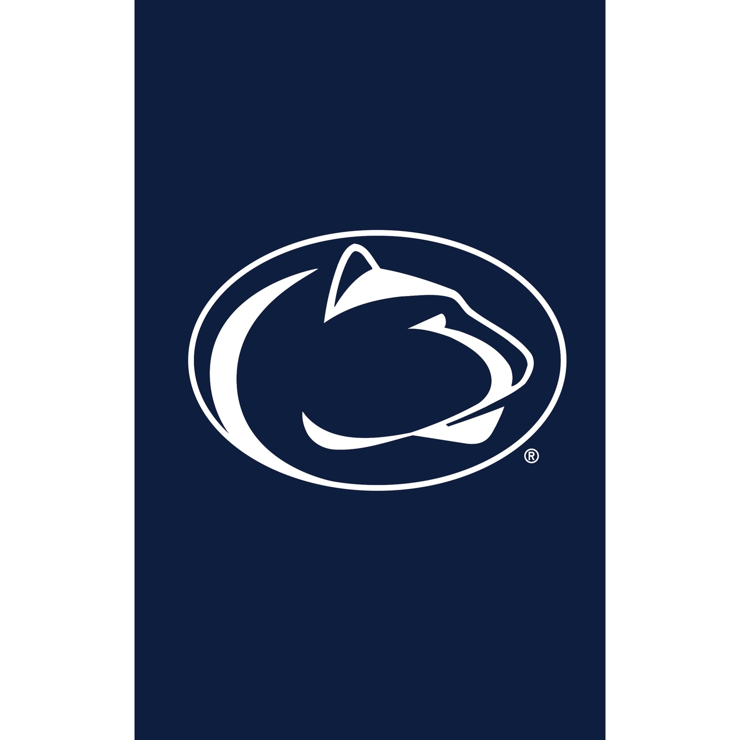 Applique Flag, House Size, Penn State
