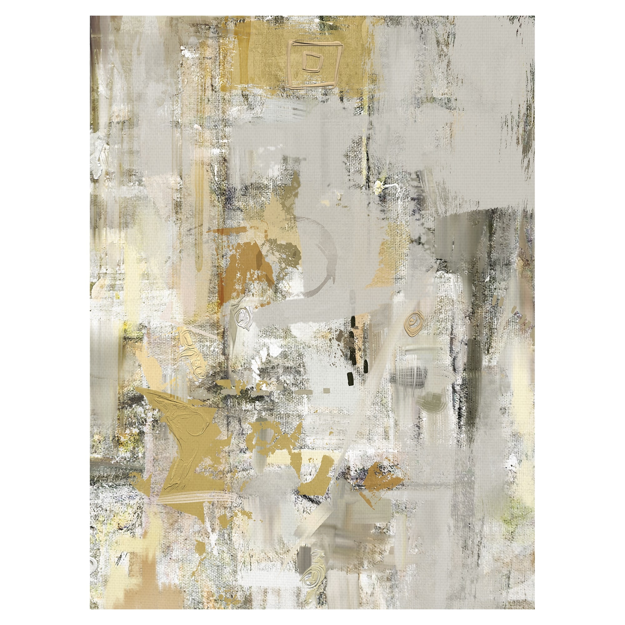 Evolution I by Studio Arts Canvas Art Print
