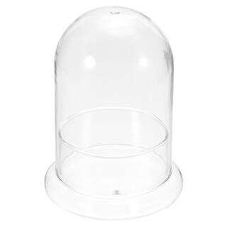 Terrarium Air Plant Planter, Glass Bell Jar Display Dome Cover ...