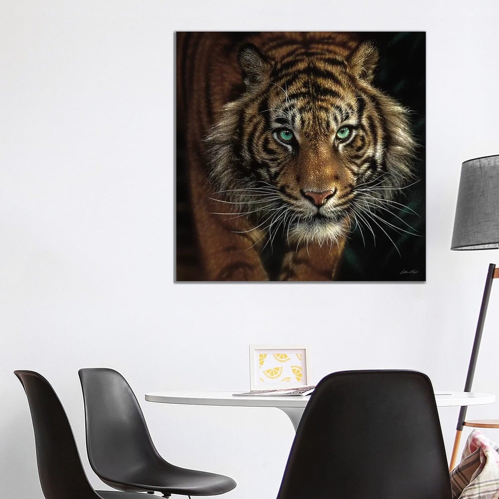 iCanvas "Eye Of The Tiger, Square" by Collin Bogle Canvas Print