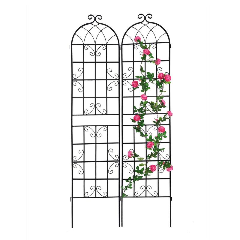 Black 2 Pack Metal Garden Rustproof Trellis Outdoor Flower Support