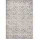 preview thumbnail 10 of 23, SAFAVIEH Brentwood Linza Traditional Oriental Rug 5' Square - Light Grey/Blue - Square