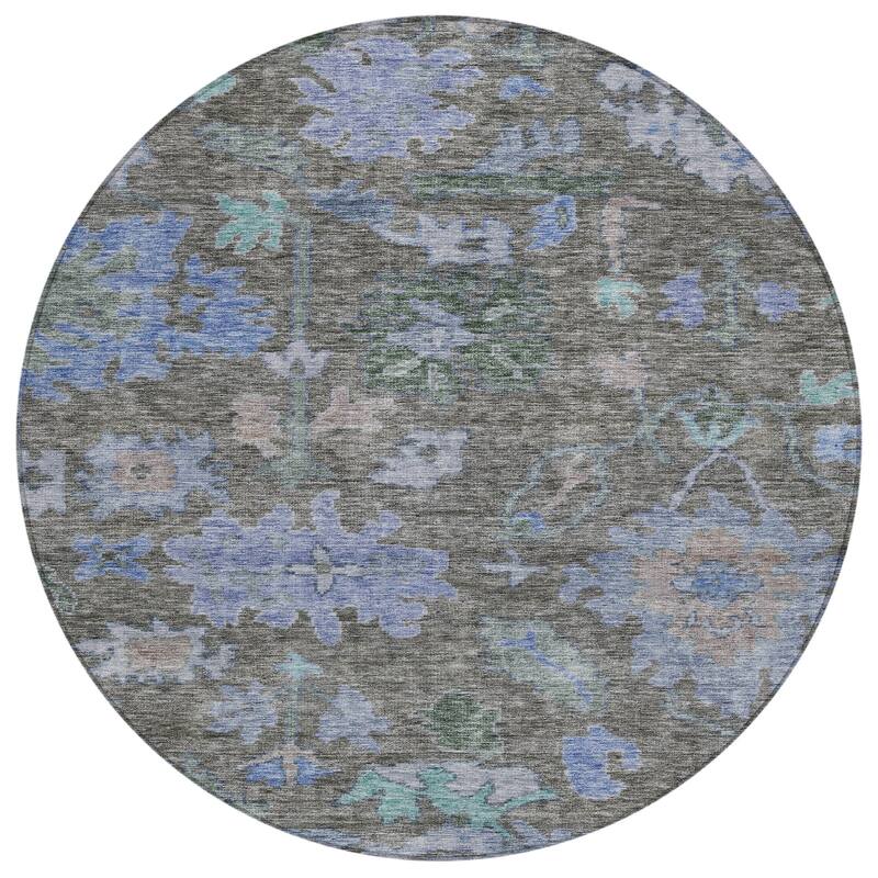 Machine Washable Indoor/ Outdoor Vintage Traditional Chantille Rug