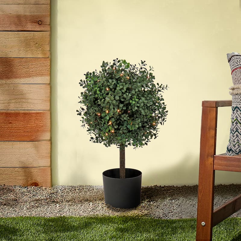 National Tree Company 2 ft Prelit Artificial Boxwood Single Ball Topiary with 50 Clear Lights - 24 in - Plastic - Green