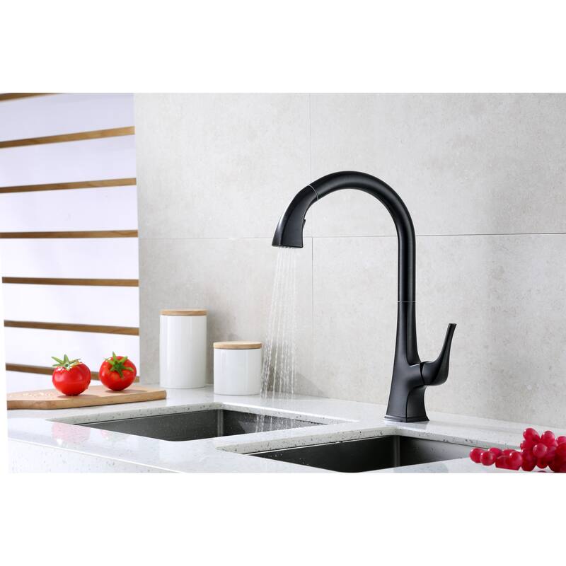 Ultra Faucets Quest Collection Single-Handle Kitchen Faucet With Pull-Down Spray