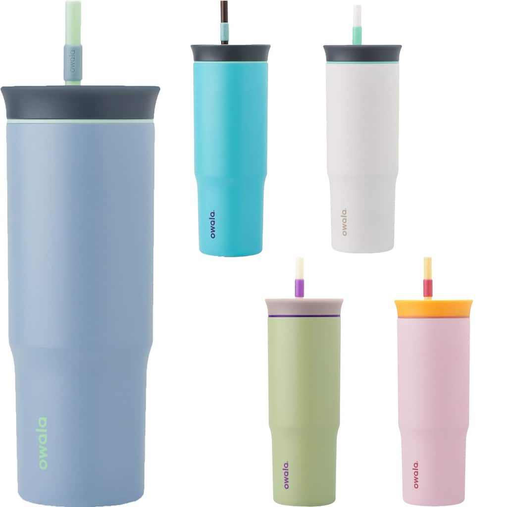 24 oz. Stainless Steel Tumbler with Straw - Overstock - 40385567