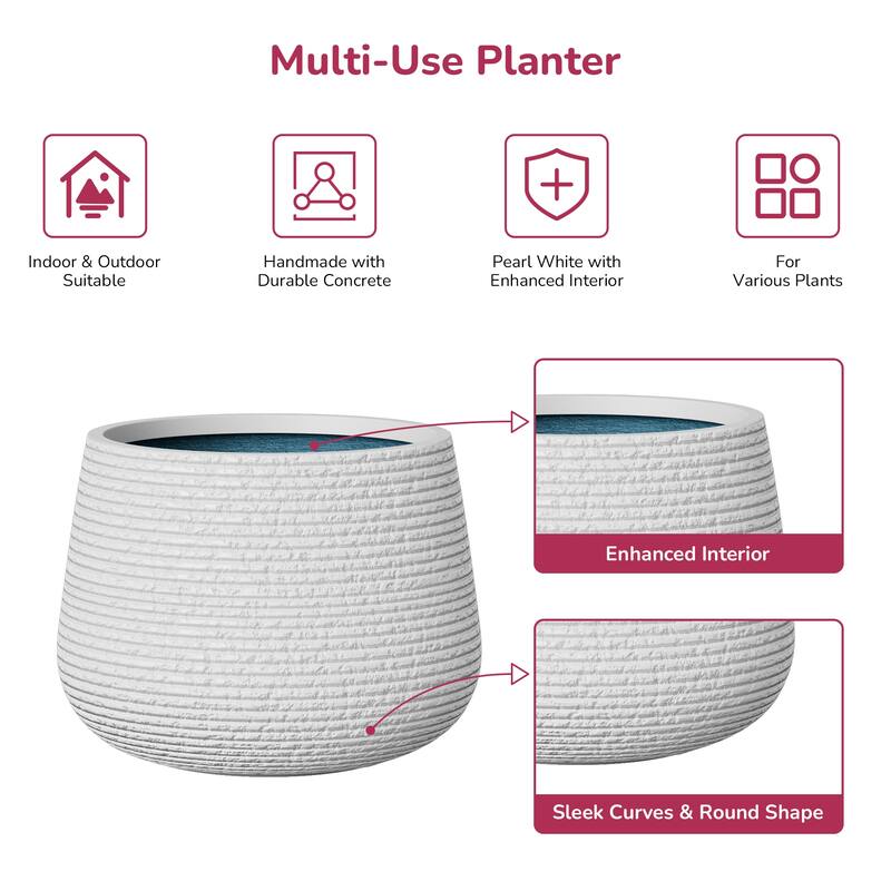 Upgraded Interior Concrete Round Planter with Draiange Holes