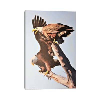 iCanvas "Two Eagles Up High" by D. "Rusty" Rust Canvas Print