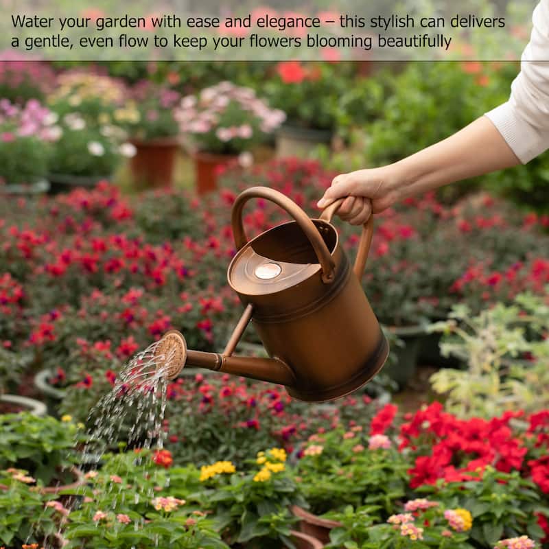 Gardenised 1 Gallon Galvanized Metal Watering Can with Removable Long Spout & Sprinkler Head for Indoor & Outdoor Use