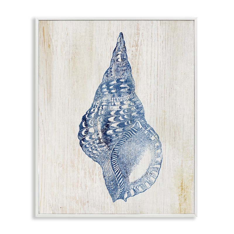 Stupell Tranquil Blue Shell Framed Giclee Art Design By Susan Arnot - 24 x 30 - White