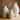RusticReach Carved Floral Vase in White