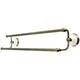 Option Antique Brass
