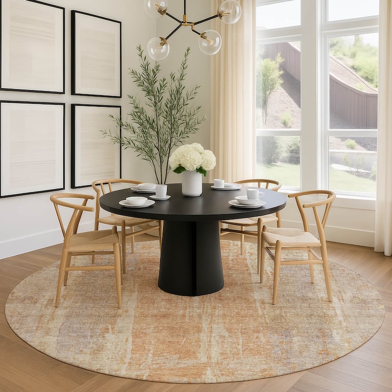 Machine Washable Indoor/ Outdoor Vintage Ombre Chantille Rug