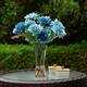 Option Blue
