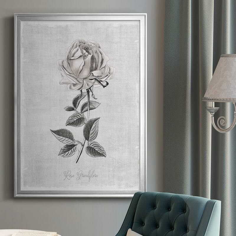 Vintage Botanical II Premium Framed Print - Ready to Hang