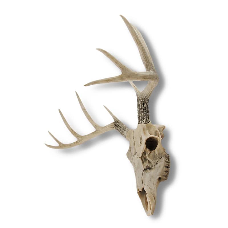 10 Point Buck Deer Skull Bust Wall Hanging