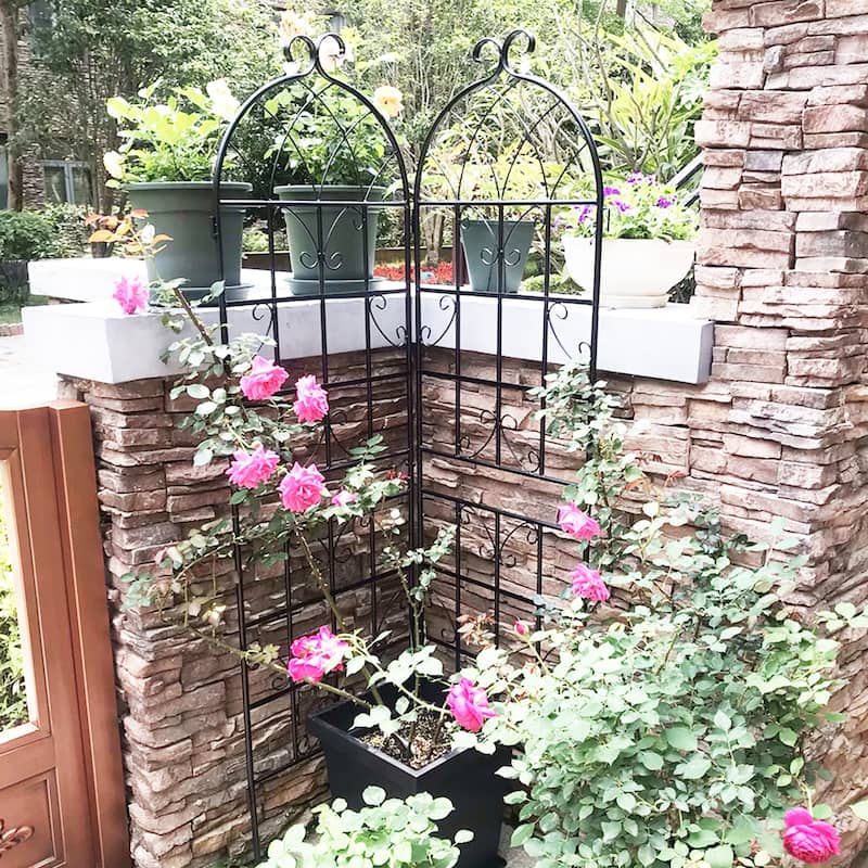 4 Pack Metal Garden Trellis 71" x 19.7" Rustproof Trellis for Climbing Plants Outdoor Flower Support