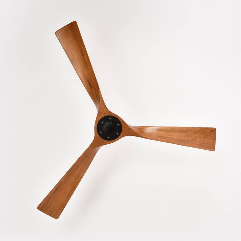 Ceiling Fan with Remote Control No Lights