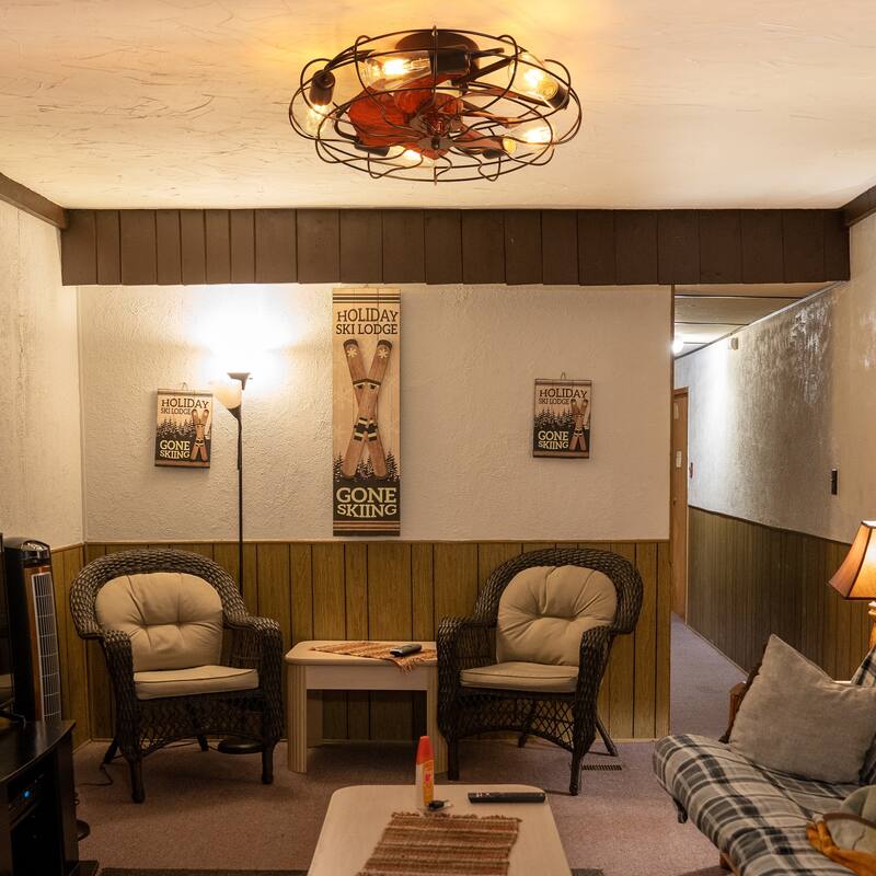 Adjustable Speed Case Ceiling Fans with Lights, Remote Control