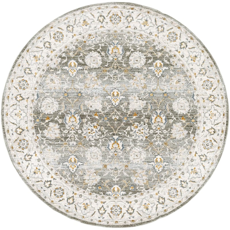 Livabliss Dresden Transitional Area Rug
