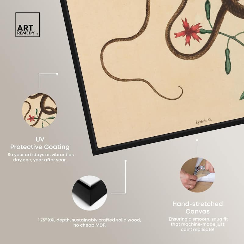 The Coach Whip Snake 1743 Canvas by Art Remedy