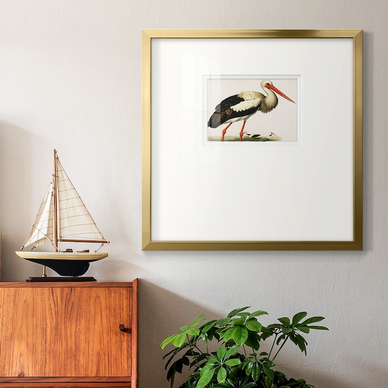Odd CranePremium Framed Print