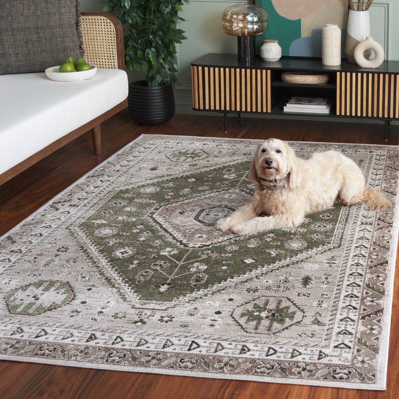 SAFAVIEH Bayside Machine Washable Surmeli Shabby Chic Rug