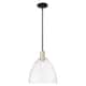Option Clear / Black Antique Brass