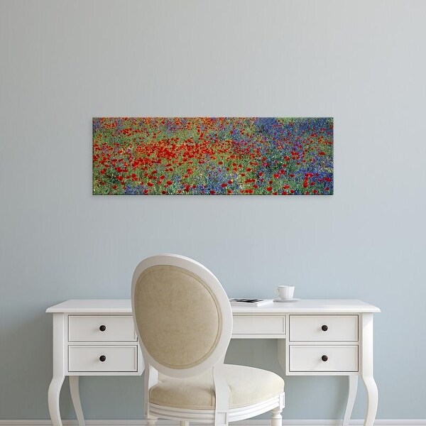Easy Art Prints Panoramic Images's 'Wildflowers Andalucia Spain' Premium Canvas Art