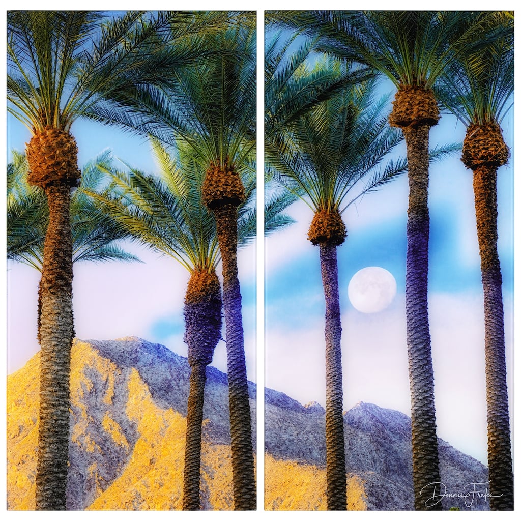 "Moonlit Oasis" Oversized 72"x 36" Frameless Free-Floating Reverse Printed Tempered Art Glass Panels Set