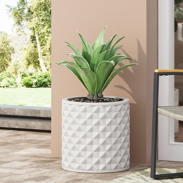 can dieffenbachia be in direct sun Dieffenbachia