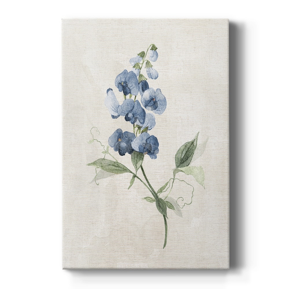 Farmhouse Periwinkle II Premium Gallery Wrapped Canvas - Ready to Hang
