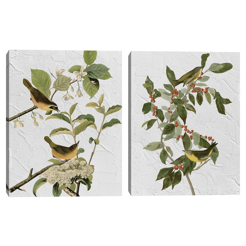 Audubon Yellow Breasted & Audubon Nashville Warbler Texture by Design Lab Canvas Art Prints