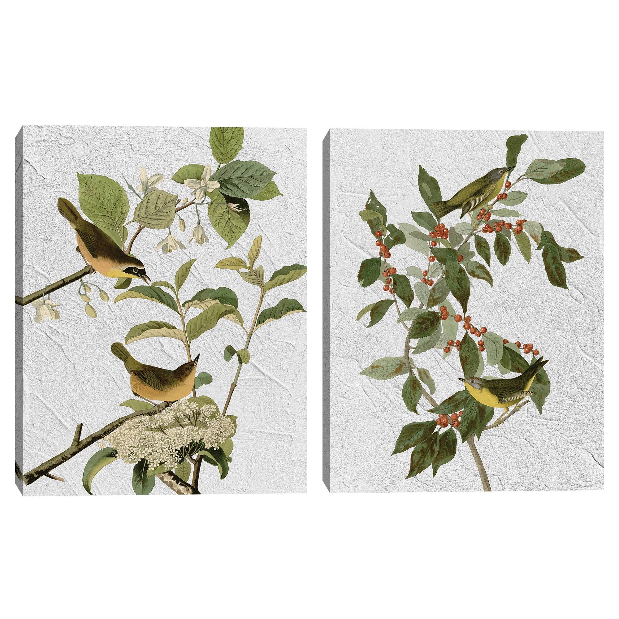 Audubon Yellow Breasted & Audubon Nashville Warbler Texture by Design ...