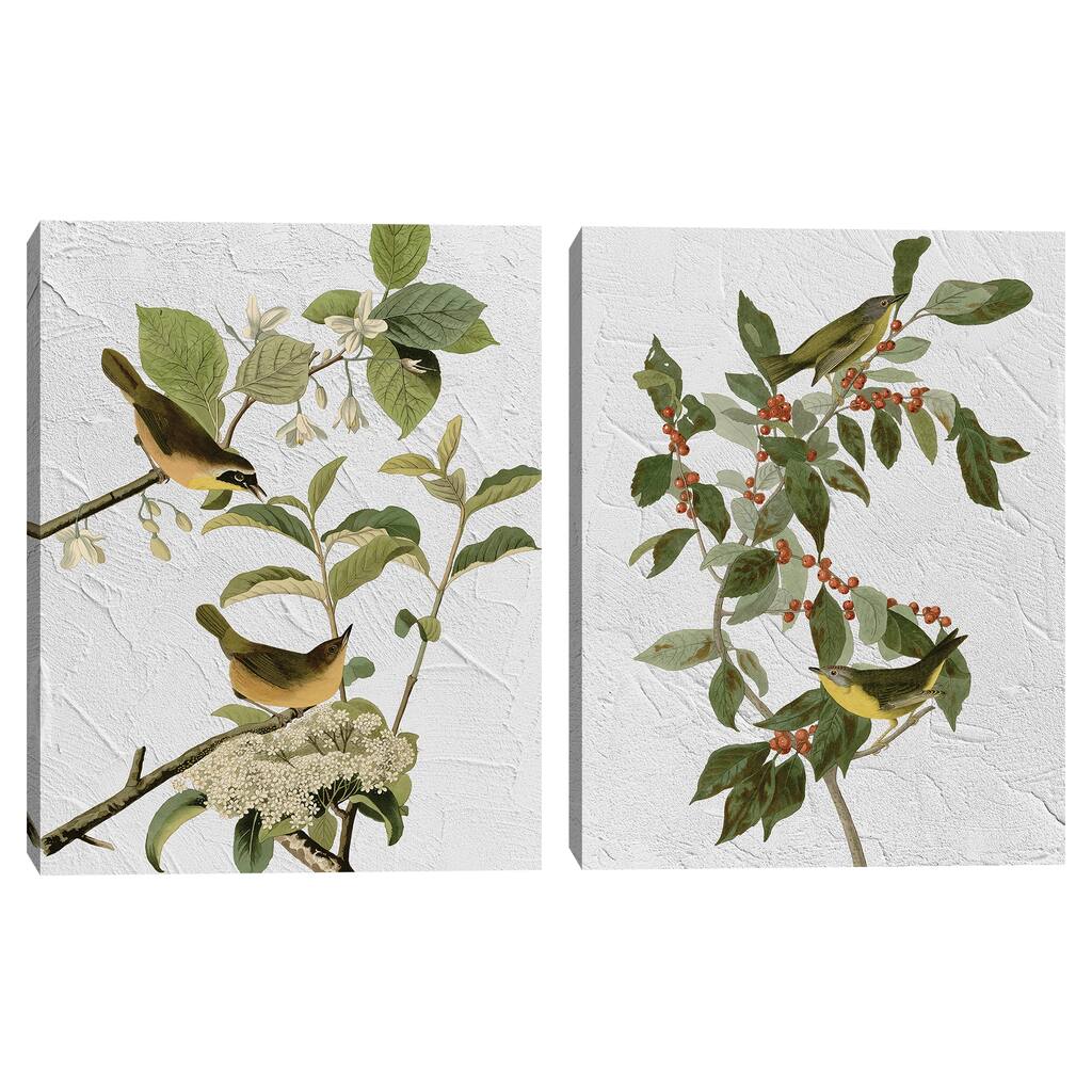 Audubon Yellow Breasted & Audubon Nashville Warbler Texture by Design Lab Canvas Art Prints