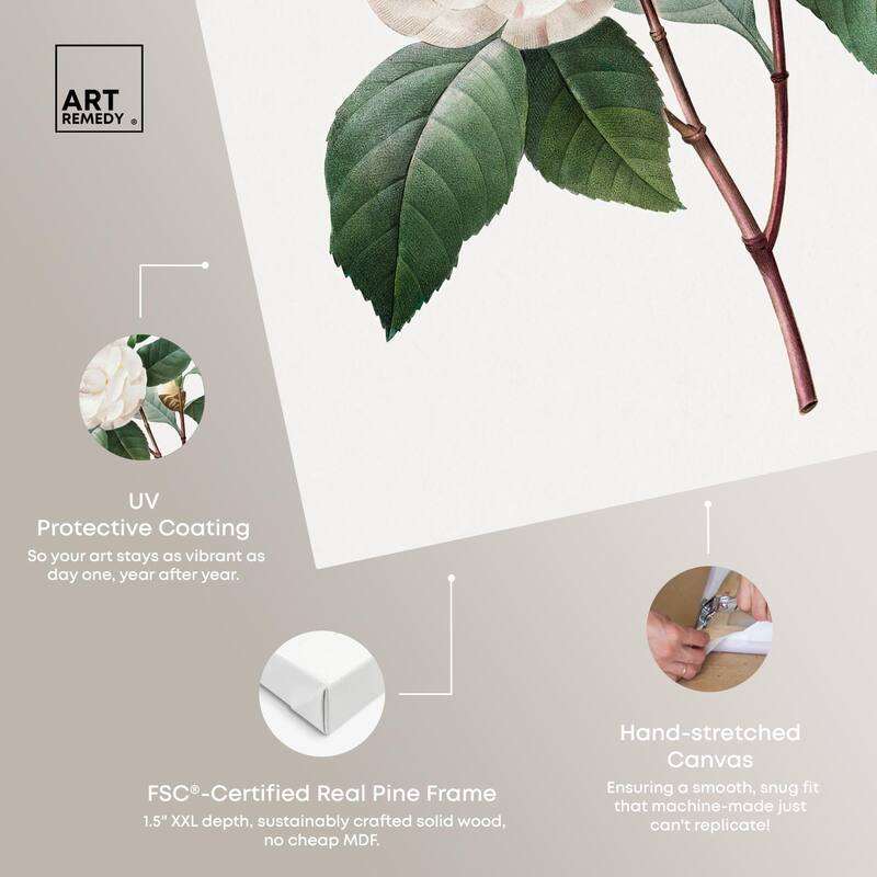 White Camellia Canvas by Art Remedy, Gallery Wrapped