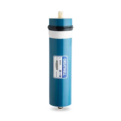 iSpring RO Membrane Replacement Filter for RCT600