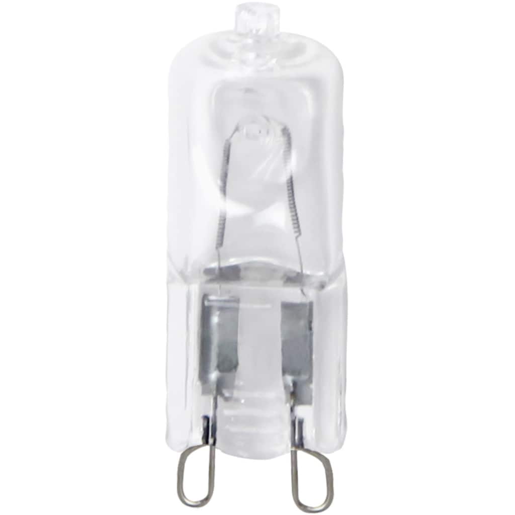 Set of 3 Clear Incandescent Light Bulbs with G9 Socket Base 1.5"