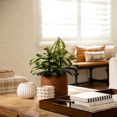 Golden Dieffenbachia Artificial Plants - 20" - Green - Set of 6