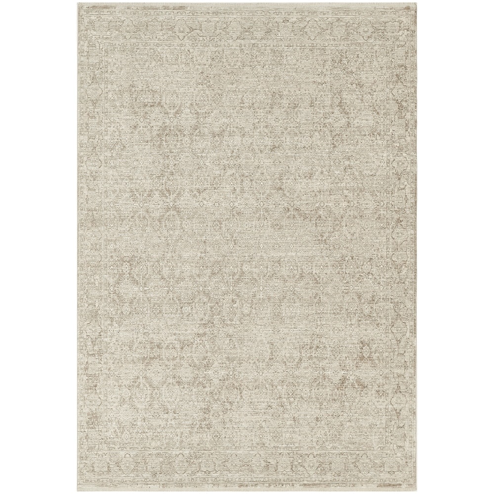 Nourison Shadows Indoor only Persian Vintage Area Rug