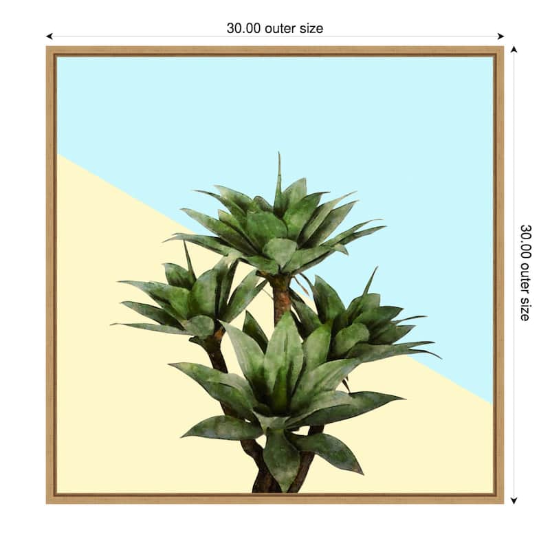 Agave 02 by Amini54 Framed Canvas Wall Art Print - Sylvie Natural - 30 x 30 in