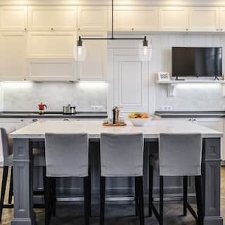 Summer Jazz 60 Watt 2-Light Matte Black Transitional Island Light with Clear Glass Shades - 10.5