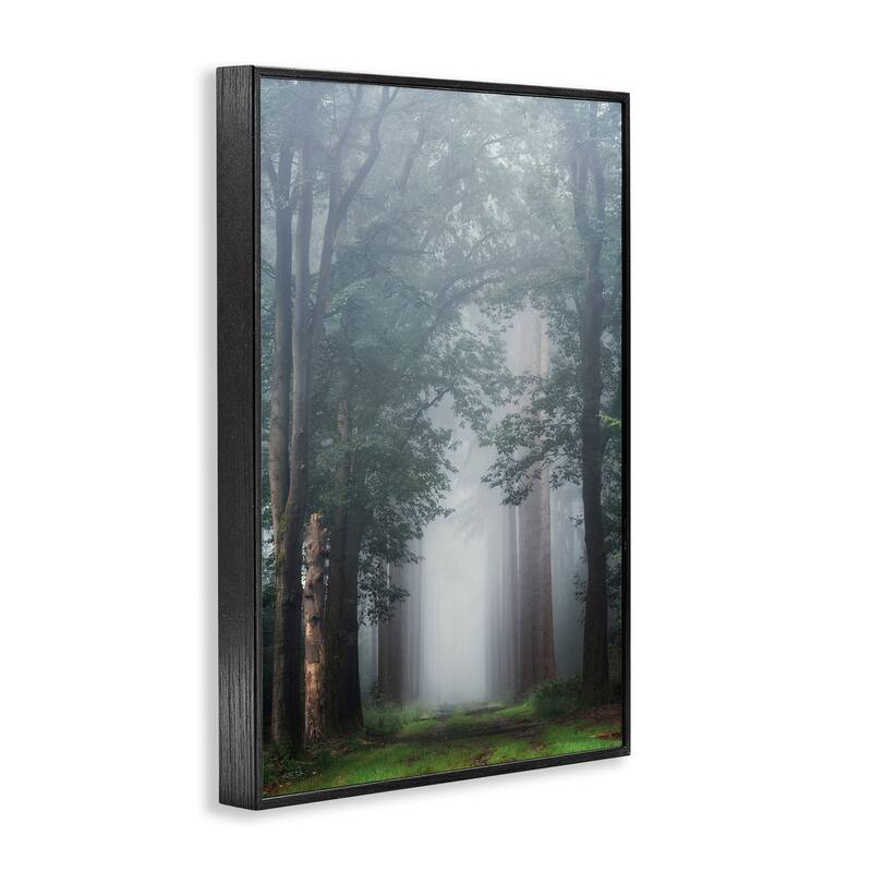 Stupell Calm Forest Clearing Framed Giclee Art Design By Martin Podt