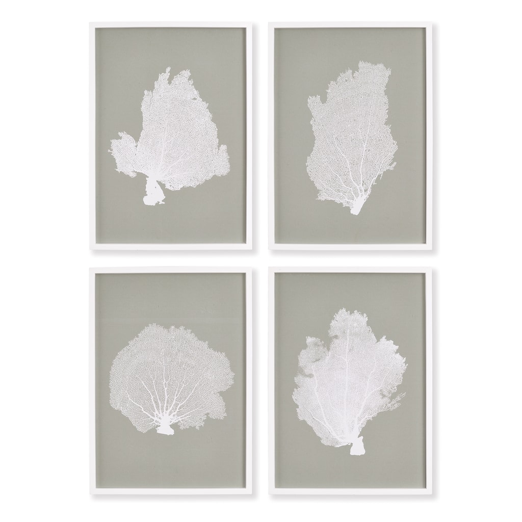 Coral Fans Study, Set Of 4